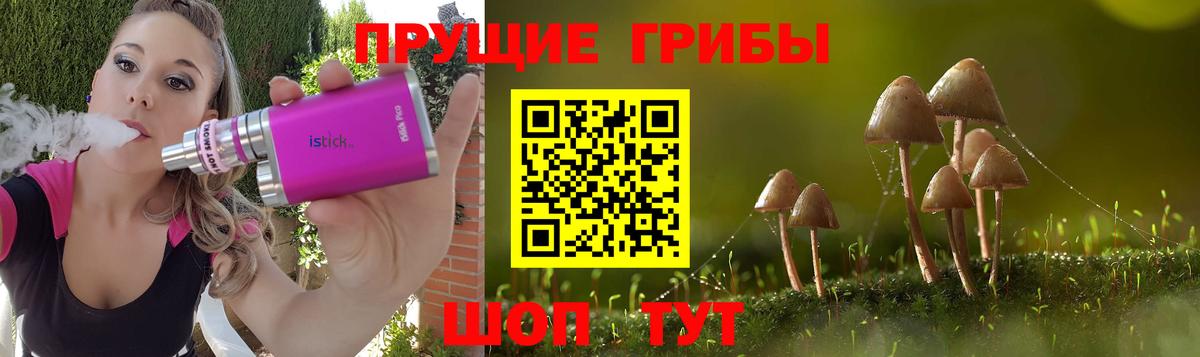 Псилоцибиновые грибы Cubensis  Вход с VPN  Галлюциногенные грибы GOLDEN TEACHER  Тимашёвск 